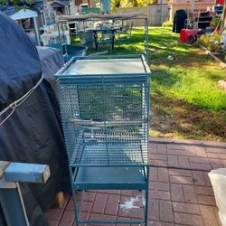Bird Cage