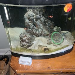 Jbj 12 Nano Cube 