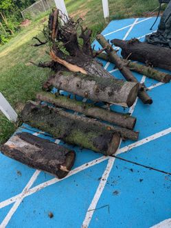 Free Wood -Will pay you $50