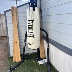 Punching bag and stand