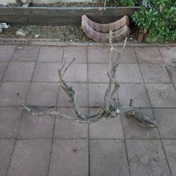 Large Wood Pieces For Birds/Aquariums