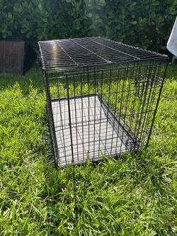 Medium Cage