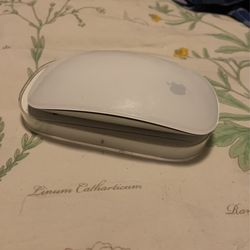 Apple Mouse 1st Gen