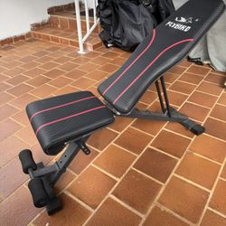 Gym Bench / Weight Bench