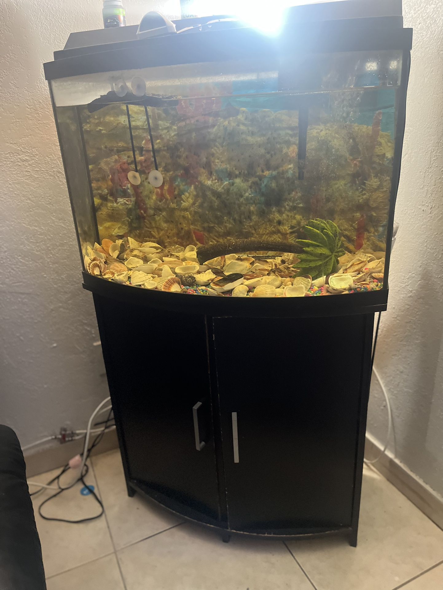 40 Gallon Fish Tank &Stand