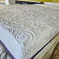 Mattress And Box Spring Size Queen 