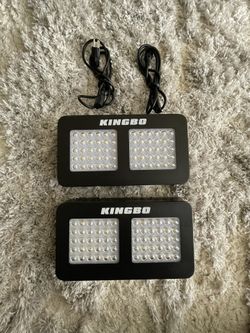 (2) 300w LED Grow Light