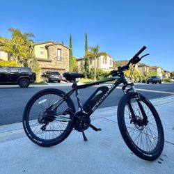 Electric Bike