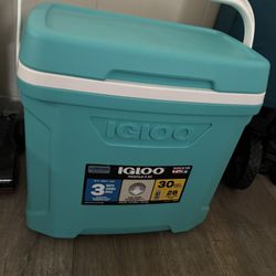 Igloo Cooler