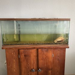 50 Gallon Fish Tank + Stand w/ Filtering and Heating