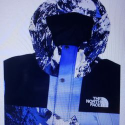 Jacket Supreme / Northface Parka Collab