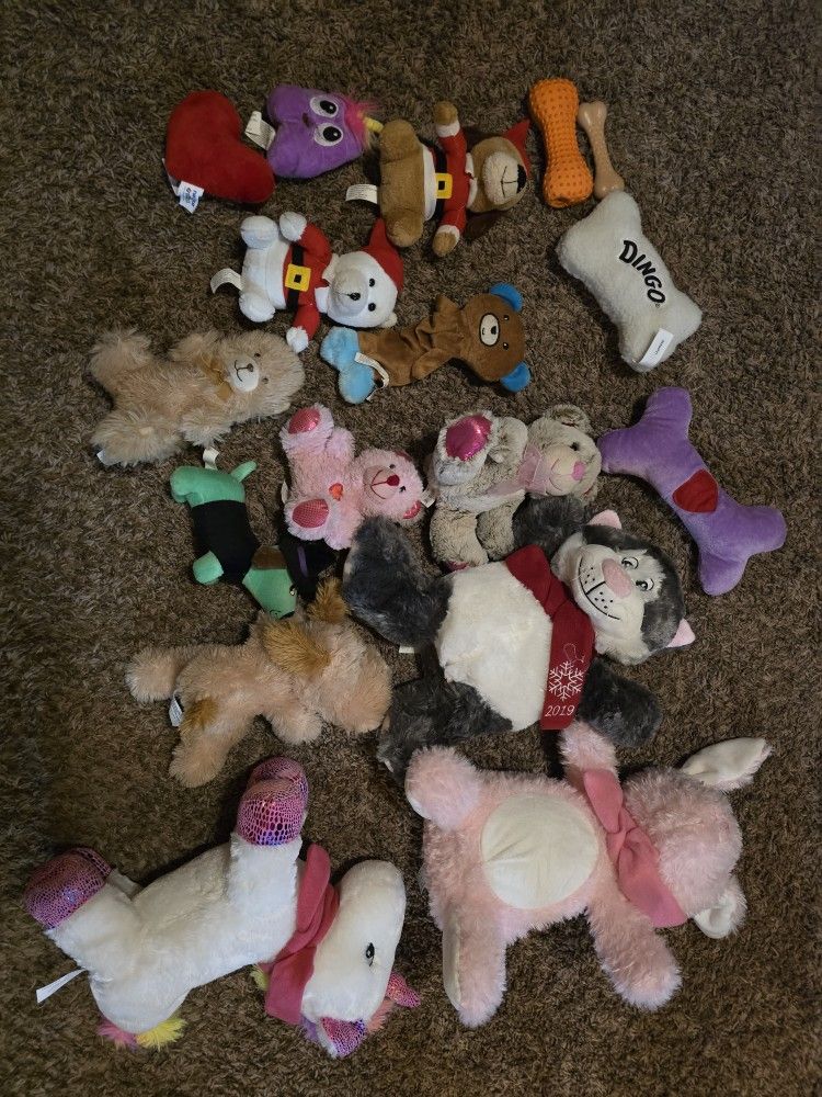 Pet Toys