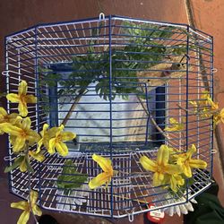White Bird Cage