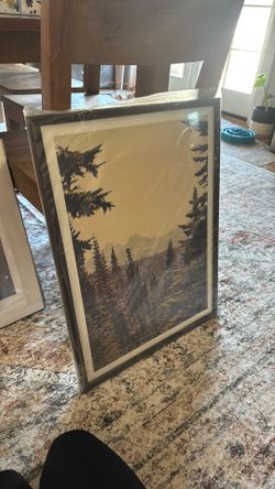 19” x 25” Framed Art Print From Urban Outfitters 