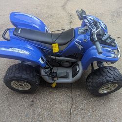 Kids Electric ATV
