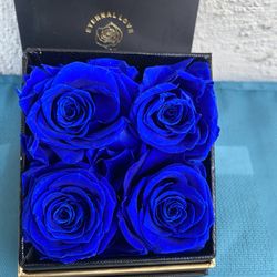 4 Piece Preserved Royal Blue Roses In A Box 