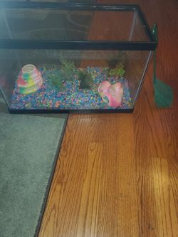 10gallon fish tank make offer