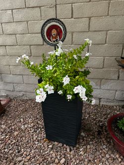 Black Ribbed Tall Square Planter Pot