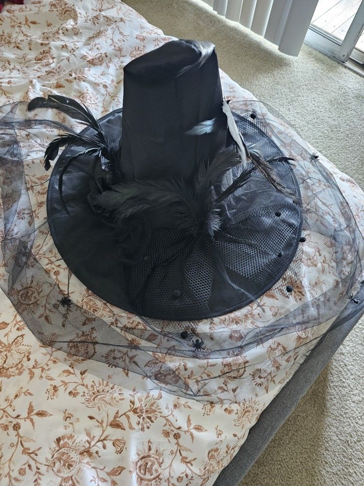 Fancy Witch Hat / Halloween Costume