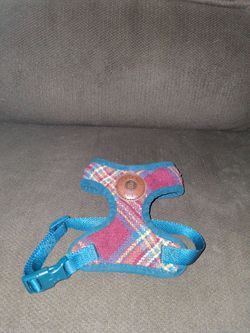 Dog harness XS