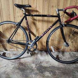 Bianchi Pista $300