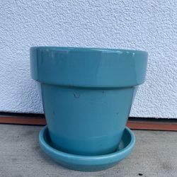 Plant Pot