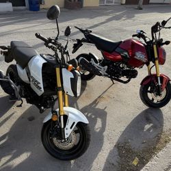 2025 Honda Grom