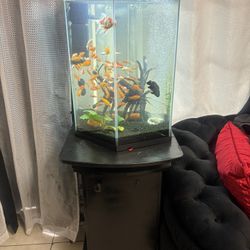 25 Gallons Fish Tank 