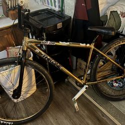 29 in Throne the goon bicycle