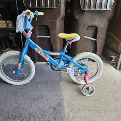 Youth Training Bike