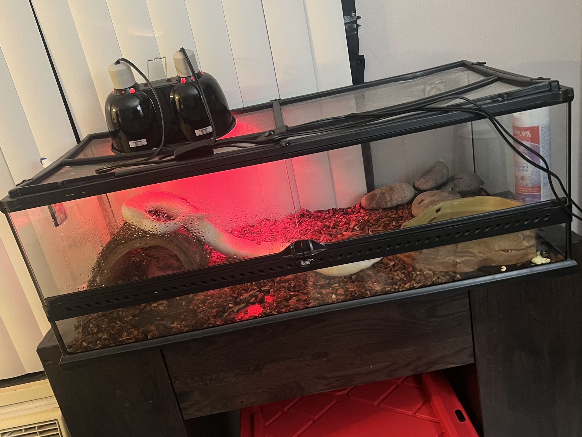 Reptile Terrarium. Sizes Are 3 Feet Long. 18 Inches Wide & 1 Foot Tall.