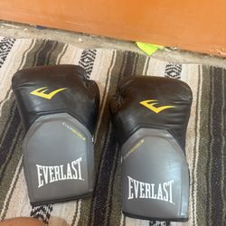 Everlast Evershield Boxing Gloves