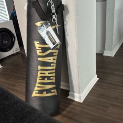 Punching Bag 