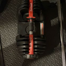 1 Pair of adjustable dumbbells 5-52.5lbs