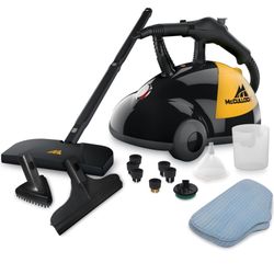 Steam Cleaner