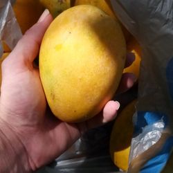 Mango's 