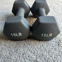 15 Lb Dumbbells Pair