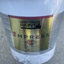 Paint