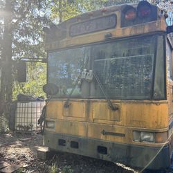40 School Bus For Renovation 