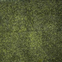 Hedge  Wall 8x8ft  Just The Panels