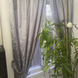 Living Room Drapes