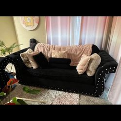 2pc Velvet Couch And Loveseat
