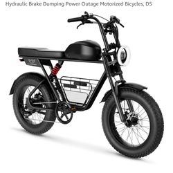 Electric Bike Windhorse D5