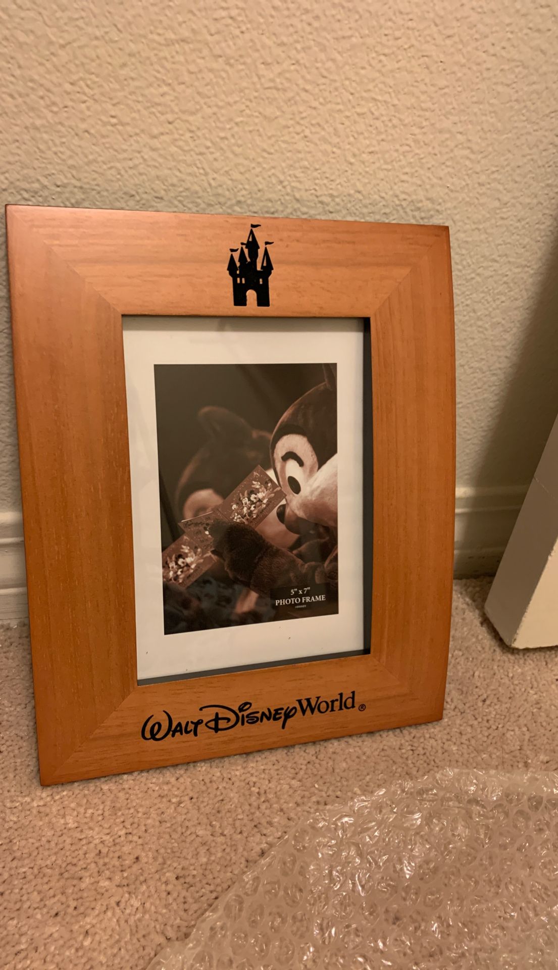 Disney World Picture Frame