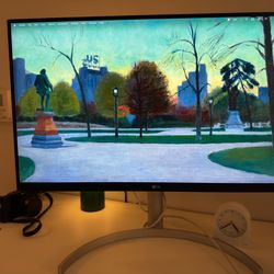 LG 4K 27 inch Monitor with Power and USB C 27UN850W