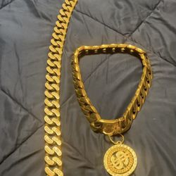 Gold Dog Leash And Collar With $ Spinner