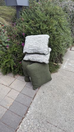Free 4 decorative pillows