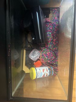 Two fish tanks