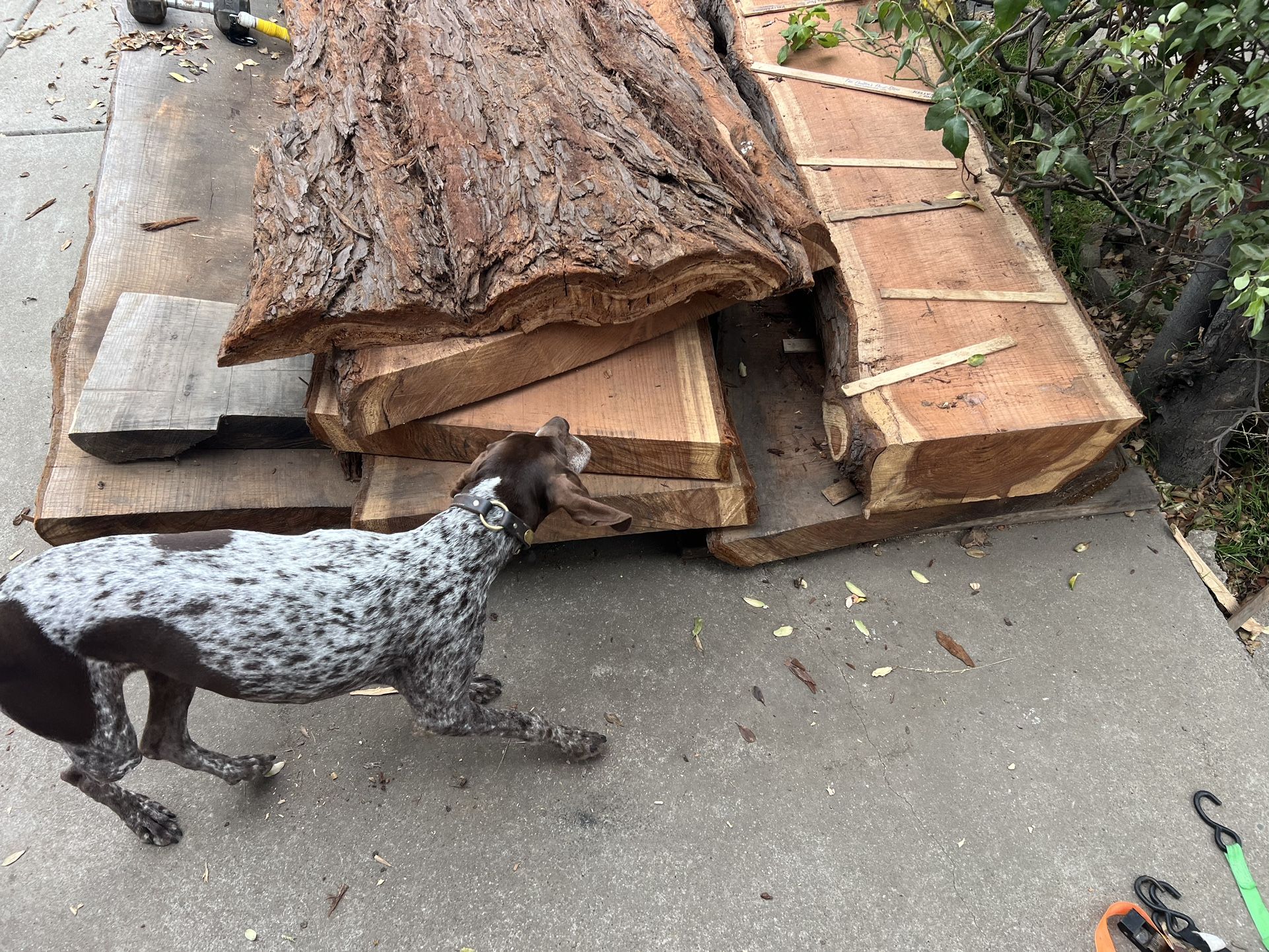 Redwood Slab SALE TODAY!