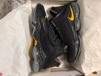 Lebron XlX Low. Size 12
